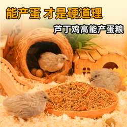 ZAIZAI 再再 芦丁鸡高蛋白营养高产蛋下蛋饲料专用宠物鹌鹑成鸡面包虫蔬菜通用