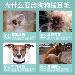 宠物拔耳毛粉狗狗用耳螨比熊洁耳粉无痛神器除耳毛耳螨止血钳用品