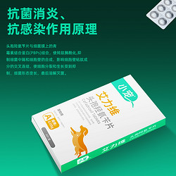 小宠 艾力维头孢羟氨苄片猫咪狗狗感冒药打喷嚏流鼻涕猫鼻支消炎药