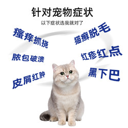 XUEDIAO 雪貂留香 猫藓喷剂猫癣专用猫外用狗癣真菌皮肤病药浴用猫咪黑下巴喷雾