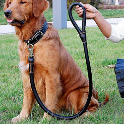 others 其他 SLPC狗绳子大型犬拉布拉多金毛边牧遛狗拴狗绳子项圈套装中型犬牵引绳 黑色 XL
