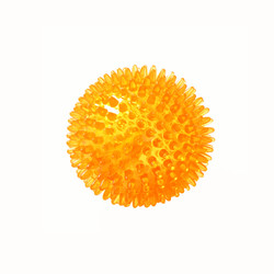 EETOYS 宜特 小号刺球桔色狗狗玩具趣味发声抛投互动磨牙洁齿宠物用品