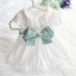 四脚花蹄 春秋季狗狗衣服猫咪公主裙薄款时尚宠物婚纱裙卖萌小狗服装服饰 薄荷裙 S-约4-6斤