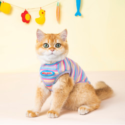 御膳爷 猫咪衣服金渐层薄款宠物背心夏天幼猫小猫防掉毛布偶猫夏季猫衣服