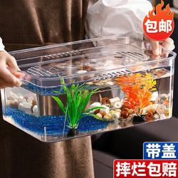 茨格曼 金鱼缸小型桌面缸PET塑料鱼缸裸缸家用斗鱼生态缸办公室小鱼缸 大号-裸缸带盖