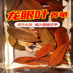 益科达 免煮乌龟龙眼叶腐皮烂甲躲避龟用养龟叶子龟缸周转箱改善水质造景 龙眼叶10片装一包