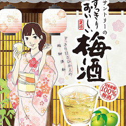 SUNTORY 三得利 进口梅酒 青梅冰饮果酒低度女士酒2L梅子酒青梅酒