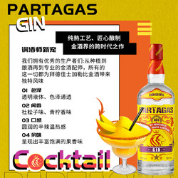 88VIP：PASSTON 派斯顿 金酒杜松子金汤力调酒鸡尾酒洋酒700ml