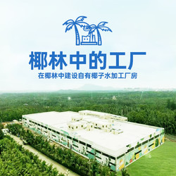 CHUNGUANG 春光 食品 海南特产 100%纯椰子水300ml*8 NFC椰子原浆椰青汁饮料