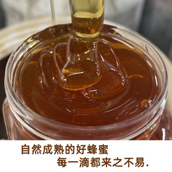 煌小馋 500g/1kg百花蜂蜜深山土蜂蜜纯正瓶装农家自产天然蜜源野生宗正品