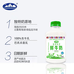 青海湖 【香菇来了】青海湖青海高原鲜牛奶巴氏杀菌低温纯鲜活青藏高原奶