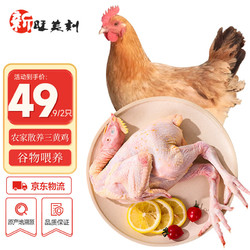 新旺美刻 三黄鸡1kg*2只 冷冻新鲜鸡肉散养鸡走地鸡煲汤食材   源头直发