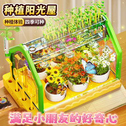 百亿补贴：NUKied 纽奇 阳光种植阳光房儿童科学小实验套装手工植物生长diy材料6玩具