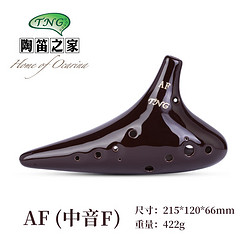 TNG 陶笛12孔初学入门古典熏烧乐器十二孔中音陶笛专业演奏千年风雅 古典熏烧AF中音F