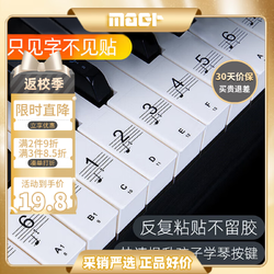 曼尔乐器 钢琴键盘贴88/61/54键电子琴键盘贴纸无胶贴五线谱简谱乐器配件