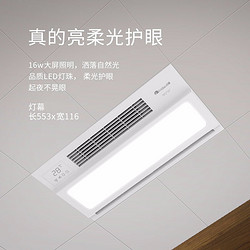 移动端、京东百亿补贴：FEIDIAO 飞雕 FD/FHL628-09W 集成吊顶浴霸 强劲双核