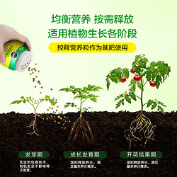 88VIP：Mracle.Gro 美乐棵 通用植物控释营养粒250g*2花肥养花控释缓释肥