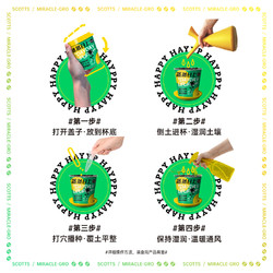 88VIP：Mracle.Gro 美乐棵 潮玩种植杯（萝卜+向日葵+番茄+紫罗兰）小盆栽4杯