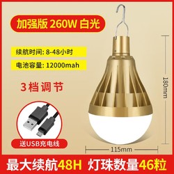 公蚁强白光可充电USB灯泡便携式无线家用应急照明超亮夜市摆地摊