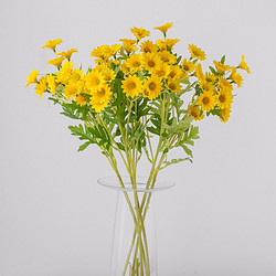 SUGER LOVE 爱已装糖 小雏菊仿真花束 春色黄 60cm 2支装