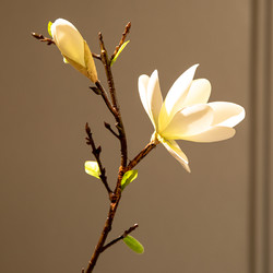 皓杨 中式水莲花玉兰仿真假花艺陶瓷瓶套装摆设客厅餐桌花装饰盆景摆件