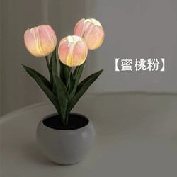 oneFire 万火 教师节礼物送老师向日葵花束仿真干花永生花玻璃罩2024新款小摆件