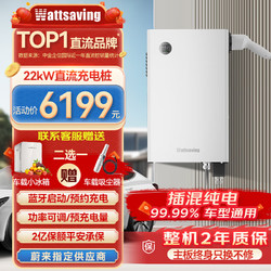 wattsaving 能效电气22kW直流充电桩T22适用于特斯拉快充问界M9小鹏蔚来极氪001红旗EQM5小米su7比亚迪秦PLUS T22B-22kW蓝牙版-壁挂式-静谧白