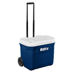 Esky 爱斯基 保温箱车载冰箱户外大容量便携箱 47L-蓝色 配2冰砖