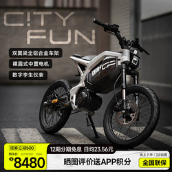 ZEEHO 极核CiTY FUN新国标电动自行车CITY FUN跨骑中置电机电自 太空银