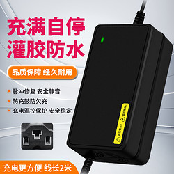 芯昌远 电动车电瓶充电器48V12AH20ah60V72V30AH64V40AH50电车三轮车通用